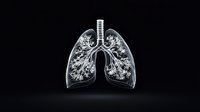 Glowing translucent human lungs with detailed bronchial tree structure and anatomical features illuminated against dark background, medical visualization for healthcare education.