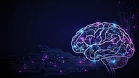 Digital brain with glowing neural networks and circuit board connections on dark blue background for artificial intelligence and technology concepts.