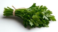 Fresh green parsley bunch tied with twine, isolated on white background, suitable for culinary, food styling, recipe, and cooking design projects.