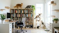 Modern home office interior with cats on wooden shelving unit, desk workspace, plants and natural lighting for remote work productivity.
