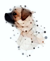 Abstract network connections forming human head silhouette with geometric nodes and lines on white background for technology and artificial intelligence concepts.