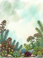 Watercolor succulent garden frame with soft green background, botanical border design for invitations, cards and decorative projects.