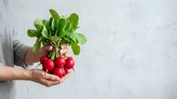Fresh red radishes with green leaves held in hand against white marble background, ideal for organic food and healthy eating content.