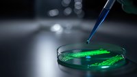 Laboratory pipette dropping green liquid sample into petri dish for scientific research and chemical analysis in modern lab setting.