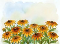 Watercolor painting of bright orange and yellow rudbeckia flowers with green leaves against soft pastel sky background for botanical art projects.