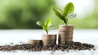 Small green plants growing from stacked coins in soil against blurred natural background, representing financial growth, investment and sustainable development.