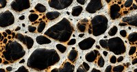 Abstract organic pattern with black irregular shapes connected by orange and white textured lines creating natural cellular structure background.
