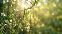DNA double helix structure intertwined with green plant leaves against blurred natural background with golden sunlight bokeh effects for biotechnology concepts.