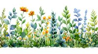 Watercolor floral border with yellow daisies, blue wildflowers and green leaves on white background, seamless pattern for nature-inspired design projects.