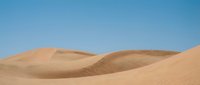 Golden sand dunes landscape with smooth curves and ripples under clear blue sky, desert wilderness scenery for travel and nature backgrounds.