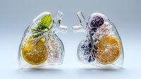 Glass lungs filled with fresh citrus slices, berries and green leaves in anatomical heart shape on light background, representing healthy breathing concept.