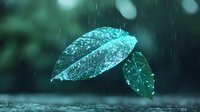 Glowing translucent leaves with water drops floating in rain against dark background, creating magical nature atmosphere with bokeh effect and turquoise tones.