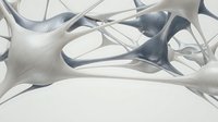 Abstract flowing forms with smooth curves and organic shapes in shades of gray and white, isolated on white background for design projects.