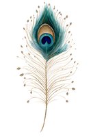 Isolated peacock feather with vibrant teal and gold plumage, featuring characteristic eye spot marking. Suitable for design projects, textiles, and decorative applications.