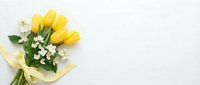 Yellow tulip bouquet with white flowers and ribbon on white background for spring celebrations and greeting cards.