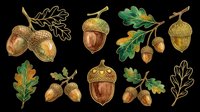 Autumn acorns and oak leaves clipart set, isolated on transparent background. Ready for stickers, t-shirt design, print on demand, and sublimation projects.