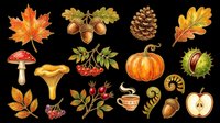 Autumn nature clipart set with leaves, mushrooms, pumpkin, acorns, berries, and pine cone, isolated on transparent background, ready for seasonal t-shirt design and print on demand.