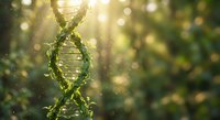 Green DNA double helix structure made of natural plant vines with golden sunlight and bokeh background for biotechnology and genetic research concepts.