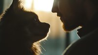 Silhouette of bearded man and dog facing each other in warm backlight creating tender moment of connection between pet owner and faithful companion.