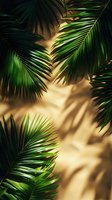 Tropical palm leaves casting dramatic shadows on beige wall in sunlight, creating natural pattern with dark green foliage and warm golden background.