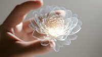Hands gently holding glowing white lotus flower with soft light emanating from center, symbolizing mindfulness, spirituality and inner peace concept.