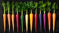 Fresh colorful rainbow carrots with green tops arranged in row on black background, organic healthy vegetables for farm market and cooking.