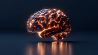 Glowing orange brain model with electric light effects floating over reflective surface against dark background, representing artificial intelligence and neural networks.