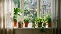 Cozy home interior with green houseplants on sunny windowsill creating natural indoor garden atmosphere for relaxation and wellness lifestyle.