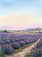 Lavender field landscape with winding dirt path through blooming purple flowers, rolling hills, and distant mountains under soft pastel sky, suitable for travel, nature, and agricultural design projects.
