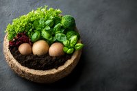 Fresh eggs nestled in soil with green lettuce, basil leaves and broccoli in rustic coconut bowl against dark background, farm to table concept.