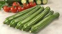 Fresh green cucumbers arranged in row with cherry tomatoes and sliced cucumber in background on light fabric, macro food photography for healthy eating concept.