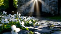 Sunbeam illuminates ancient stone path with blooming white wood anemones in spring garden. Mystical light streams through medieval archway creating magical atmosphere.