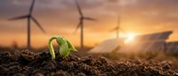 Green seedling sprouting from rich soil with wind turbines and solar panels at golden sunset representing sustainable renewable energy growth.