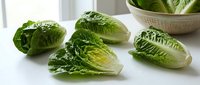 Fresh romaine lettuce hearts on white kitchen counter with natural window light for healthy cooking and salad preparation.