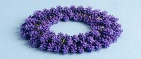 Fresh lavender flowers arranged in circular wreath on white background, aromatic herb decoration for spa, wellness and natural home decor projects.