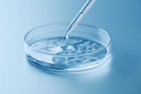 Laboratory glass petri dish with clear liquid and pipette dropping solution creating ripple effect on blue medical background for scientific research.