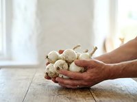 Farmer holding fresh white mushrooms in hands over wooden surface with natural window light, suitable for organic food, agriculture, and culinary content.