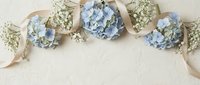 Soft blue hydrangeas and delicate white gypsophila with a satin ribbon on a light textured background, copy space for wedding or event design.