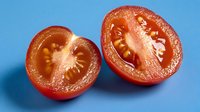 Fresh red tomato cut in half showing seeds and pulp on blue background for cooking and healthy eating concepts.