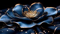 Elegant navy blue flower with golden stamens and edges on dark background, artistic macro photography highlighting delicate petals and metallic accents.