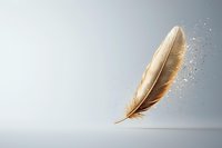 Golden feather floating in air with sparkling dust particles against soft gray background, creating ethereal atmospheric effect. Minimalist composition for poetry and writing themes.