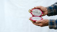 Male farmer with dark skin tone holding halved dragon fruit with white flesh and black seeds, wearing blue plaid shirt, isolated on white background for agricultural and food industry use.