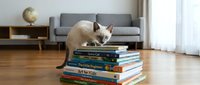 Siamese cat standing on stack of colorful books in modern living room with gray sofa and wooden floor, education and pet concept.