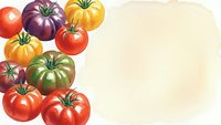 Colorful heirloom tomatoes in red, purple, yellow and green varieties arranged on light background with copy space for text and design projects.