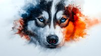Intense close-up of husky dog face with piercing blue eyes emerging from dramatic red and blue watercolor splash effect on white background, artistic pet portrait.