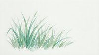 Watercolor grass tuft with soft green blades on white background, botanical illustration for nature designs and organic decorations.