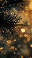 Pine needles silhouetted against golden bokeh lights create magical winter atmosphere with glowing orbs and sparkles in dark moody background.