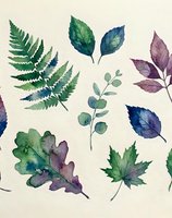 Watercolor botanical leaves collection with fern, eucalyptus and maple in green, blue and purple tones on light background for nature design projects.