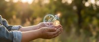 Hands holding glowing light bulb with green plant sprout inside against blurred nature background symbolizing eco innovation and sustainable energy solutions.