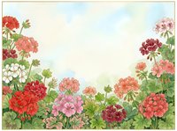 Watercolor geranium flowers frame with soft pastel background, botanical border design for greeting cards, invitations and decorative projects.